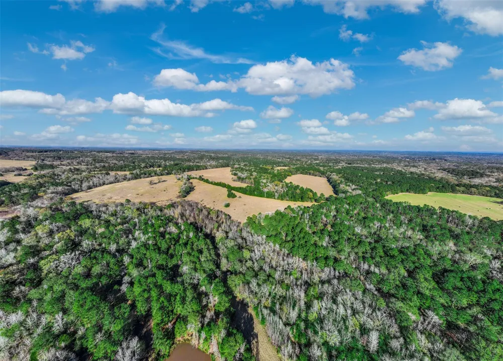 An County Road 153 Palestine, TX 75801