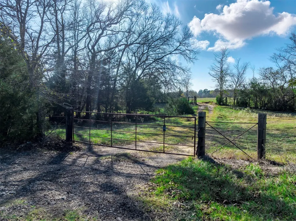An County Road 153 Palestine, TX 75801