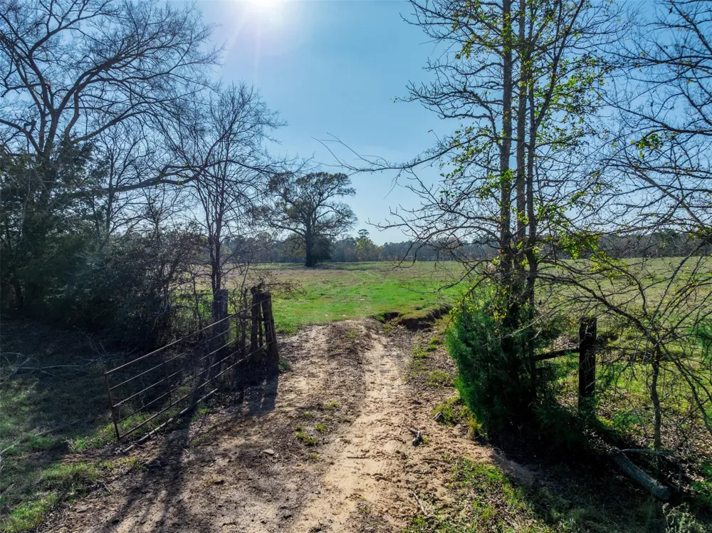 An County Road 153 Palestine, TX 75801