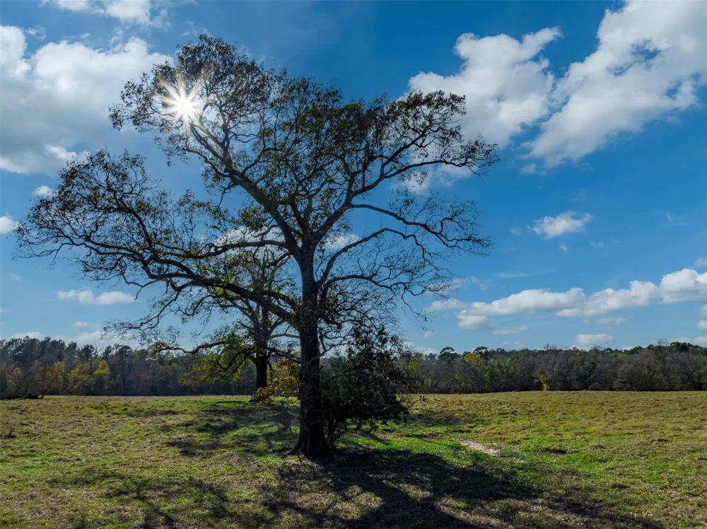 An County Road 153 Palestine, TX 75801