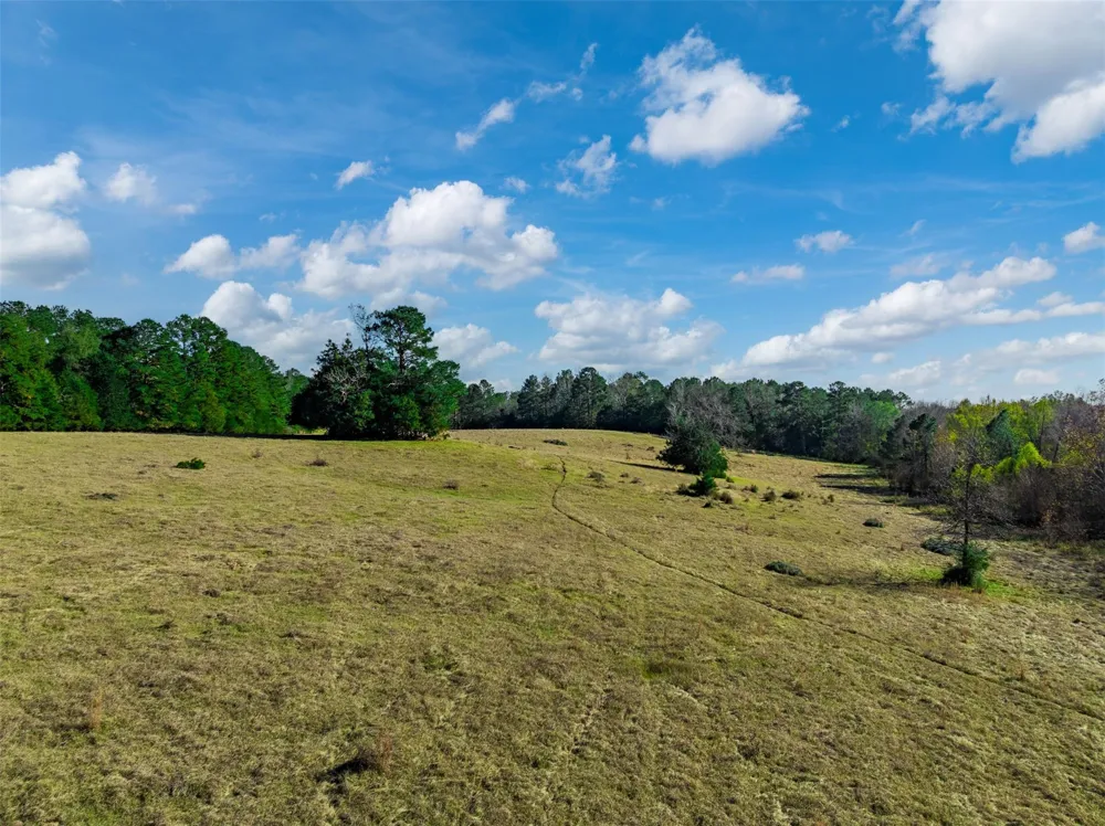 An County Road 153 Palestine, TX 75801