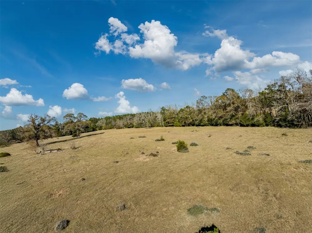 An County Road 153 Palestine, TX 75801