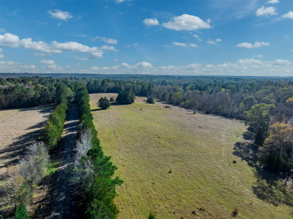 An County Road 153 Palestine, TX 75801