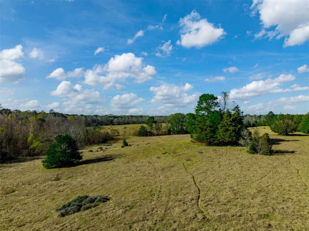 An County Road 153 Palestine, TX 75801