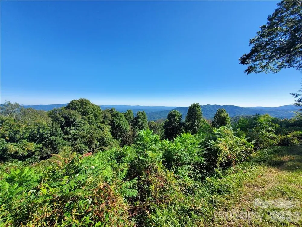 TBD Osborne Knob Road Little Switzerland, NC 28749