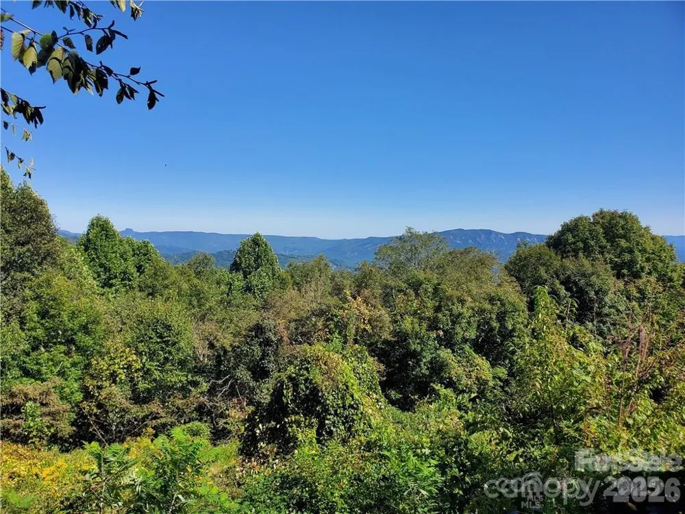 TBD Osborne Knob Road Little Switzerland, NC 28749