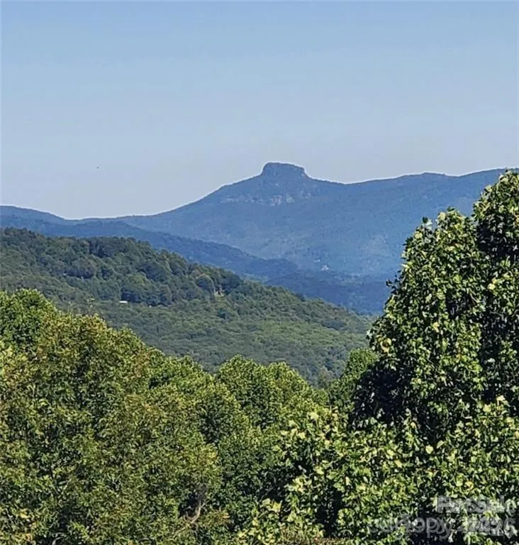 TBD Osborne Knob Road Little Switzerland, NC 28749