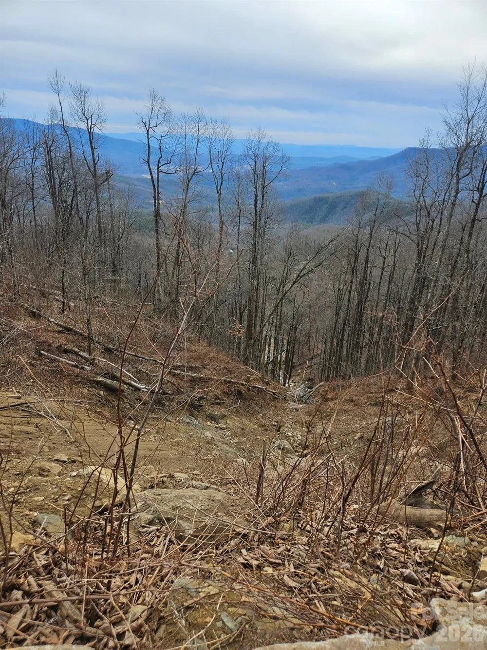 TBD Osborne Knob Road Little Switzerland, NC 28749