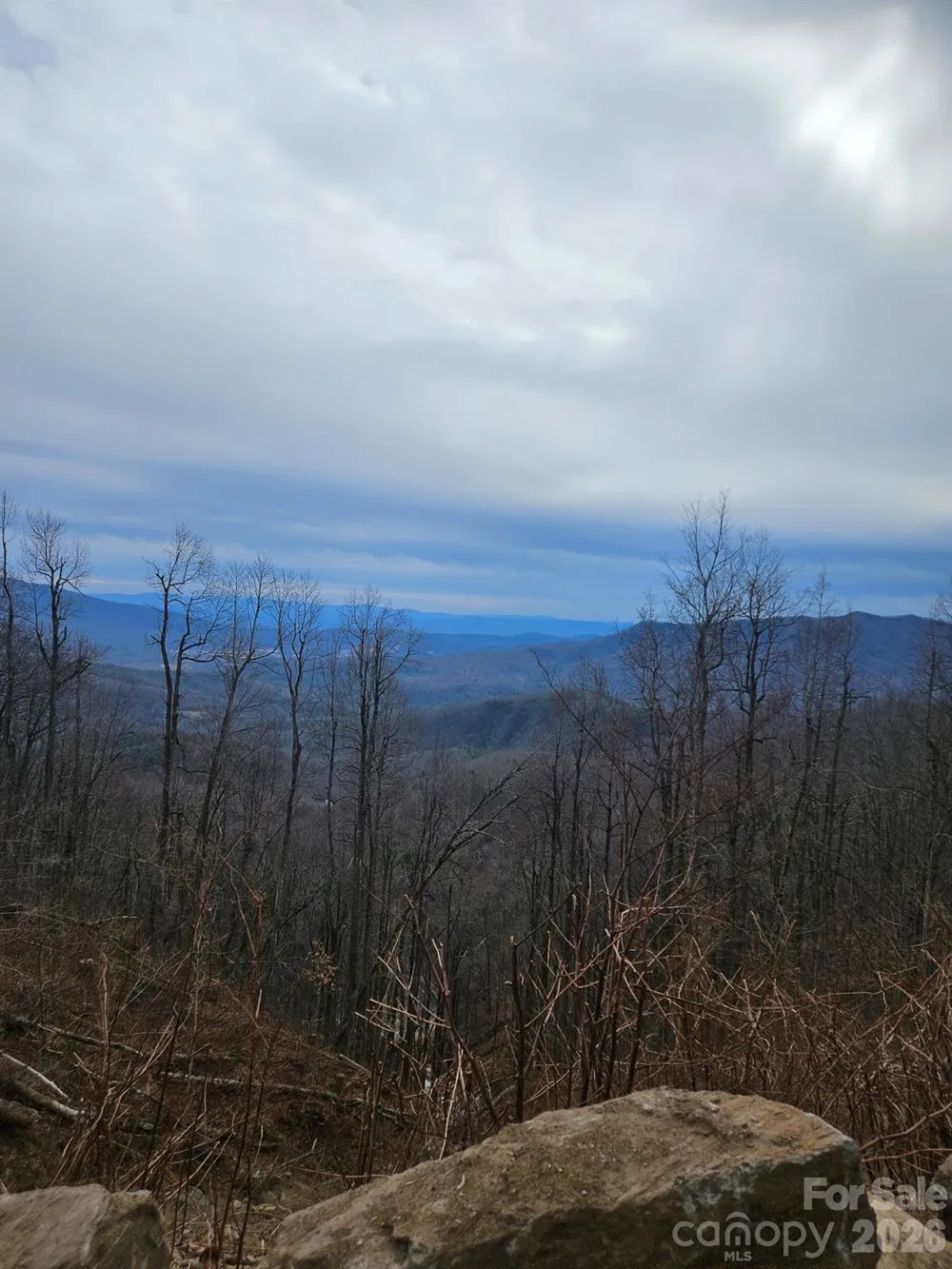 TBD Osborne Knob Road Little Switzerland, NC 28749