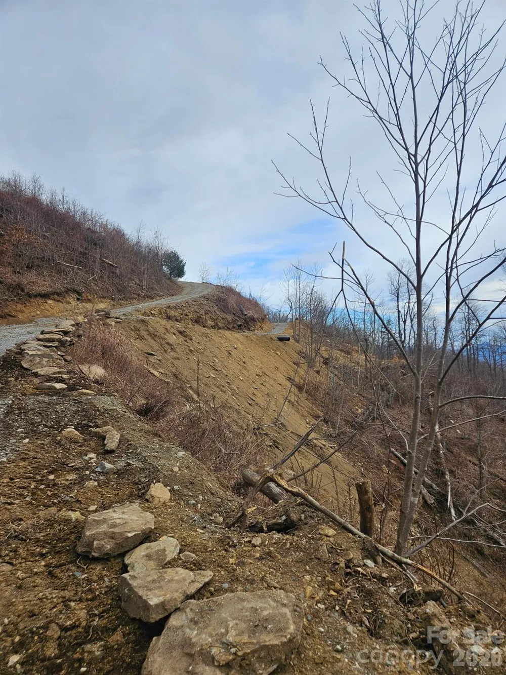 TBD Osborne Knob Road Little Switzerland, NC 28749