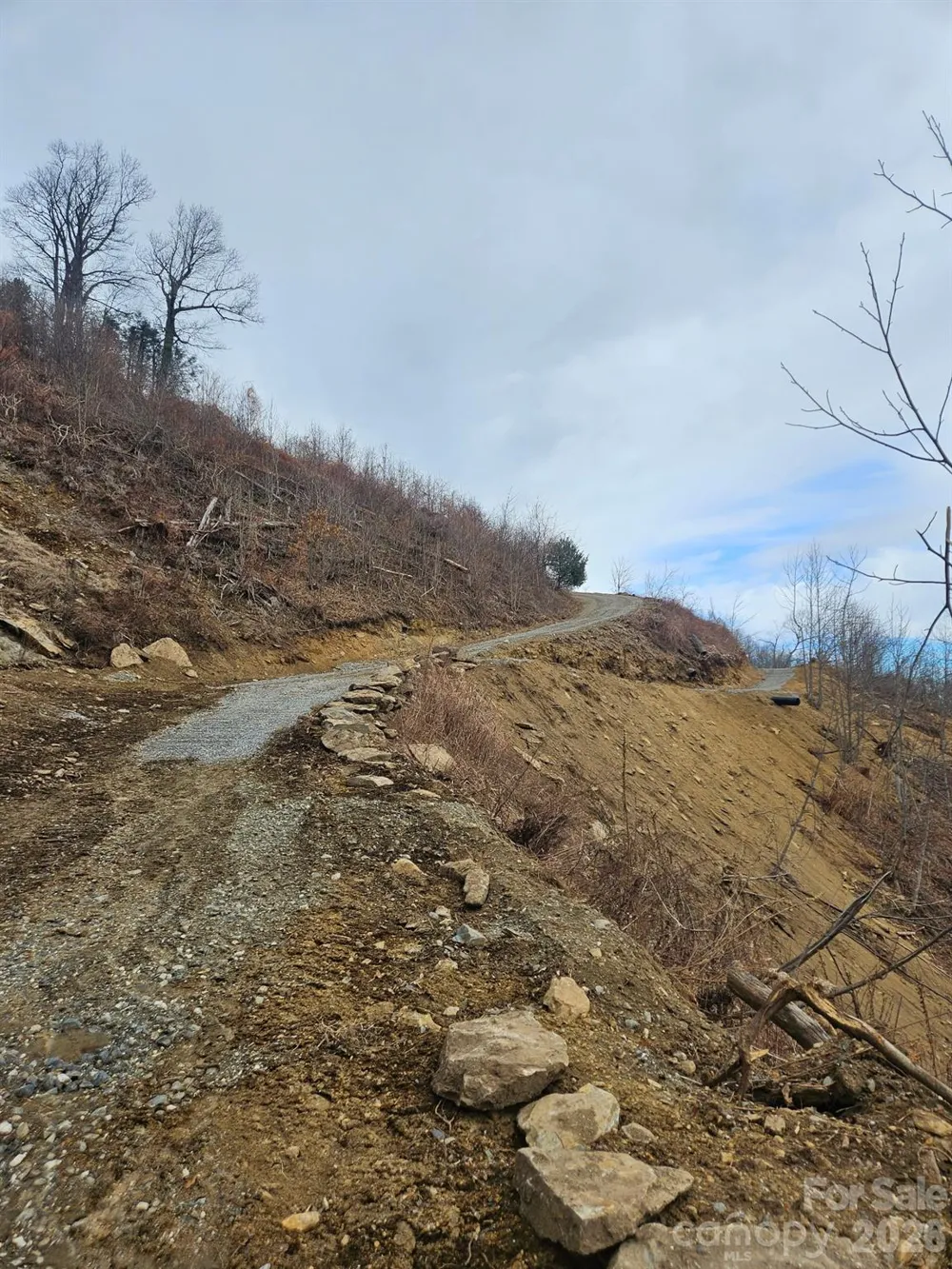 TBD Osborne Knob Road Little Switzerland, NC 28749