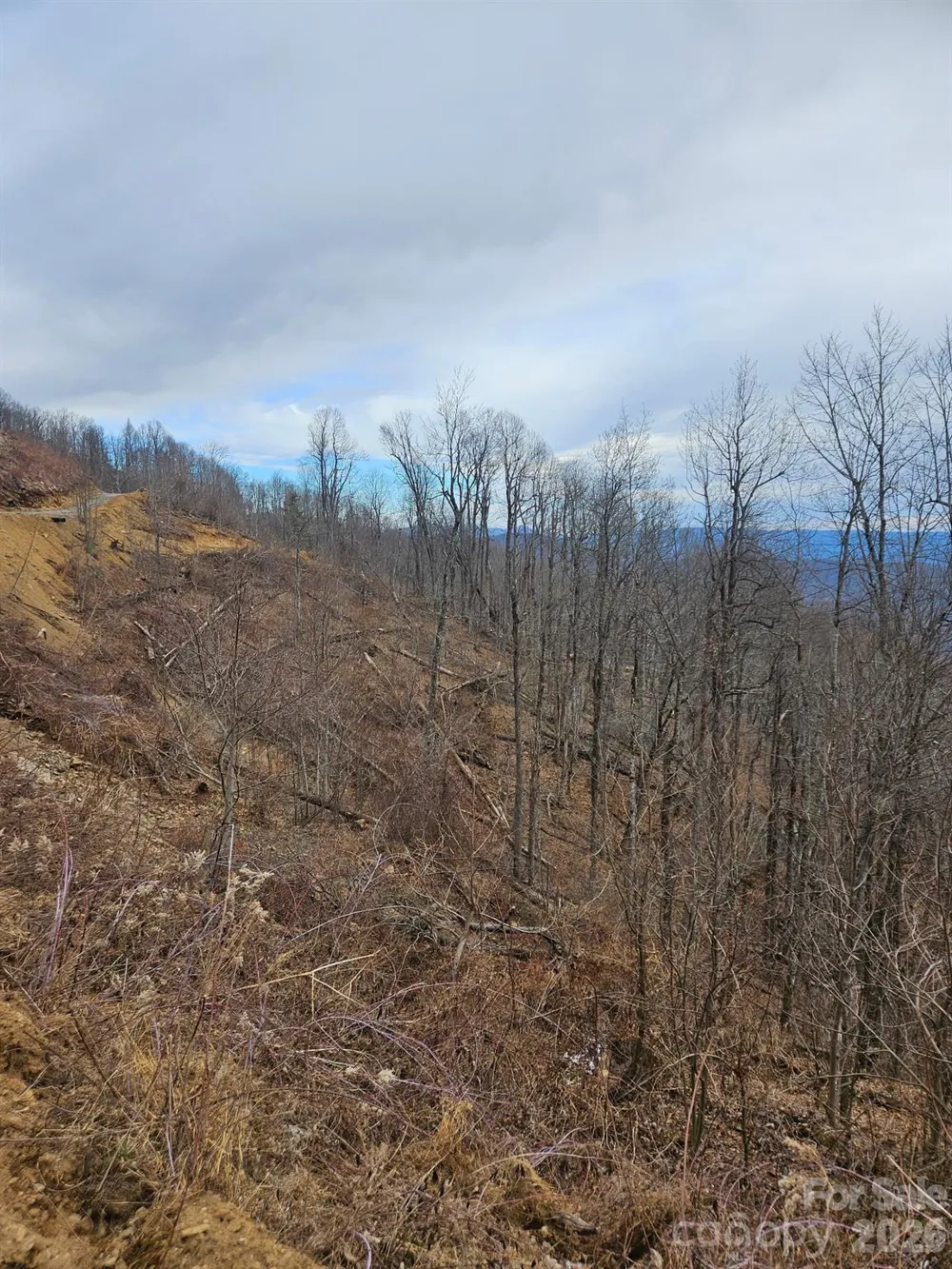 TBD Osborne Knob Road Little Switzerland, NC 28749