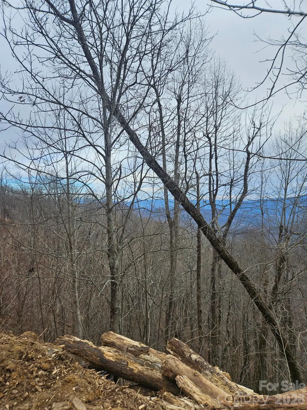 TBD Osborne Knob Road Little Switzerland, NC 28749