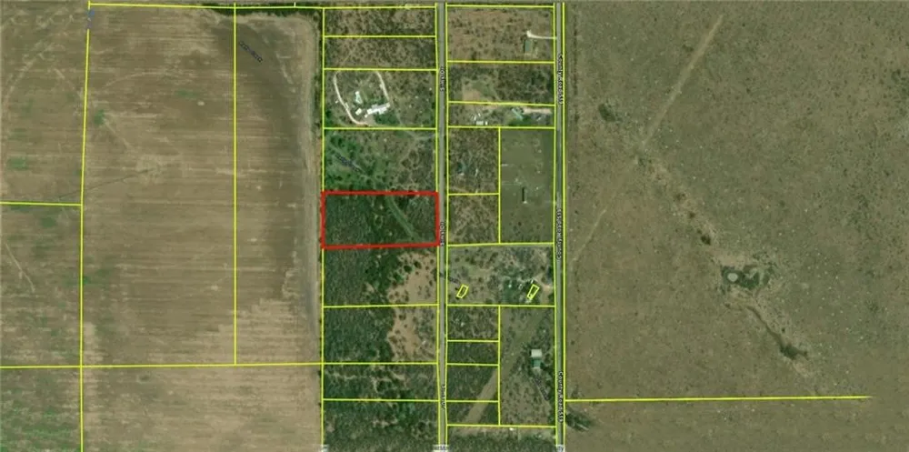 8286 Sims Dr. Skidmore, TX 78389