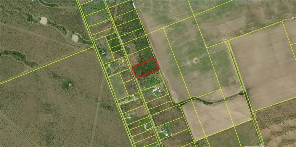8286 Sims Dr. Skidmore, TX 78389