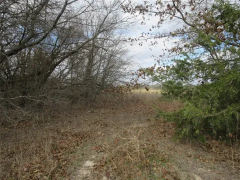 County Road 3040