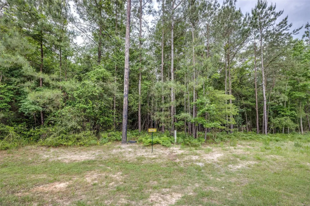 17827 Indigo Hills Drive Magnolia, TX 77355