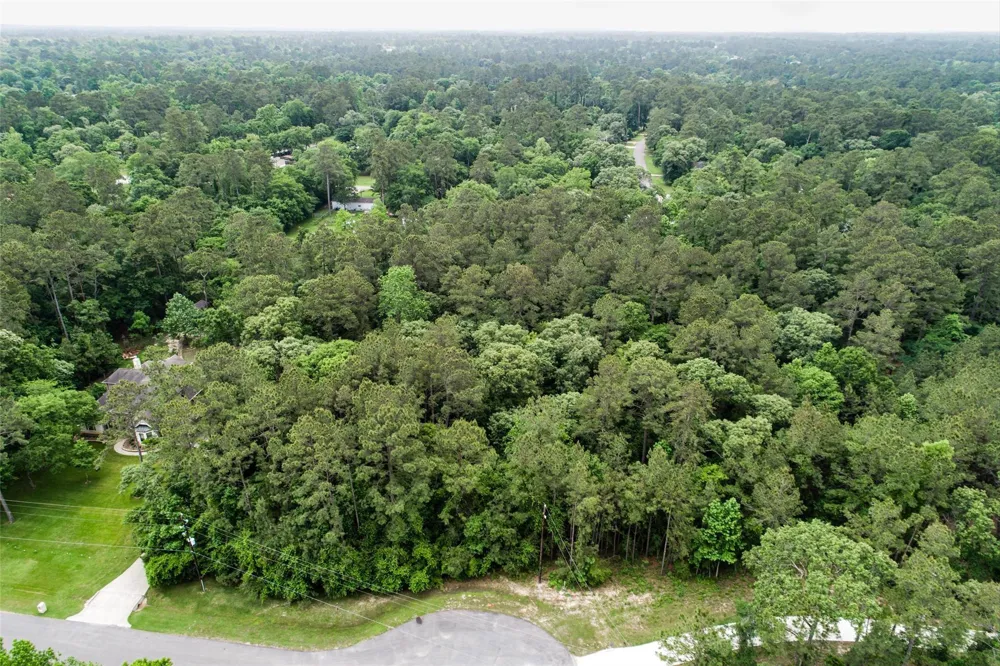17827 Indigo Hills Drive Magnolia, TX 77355
