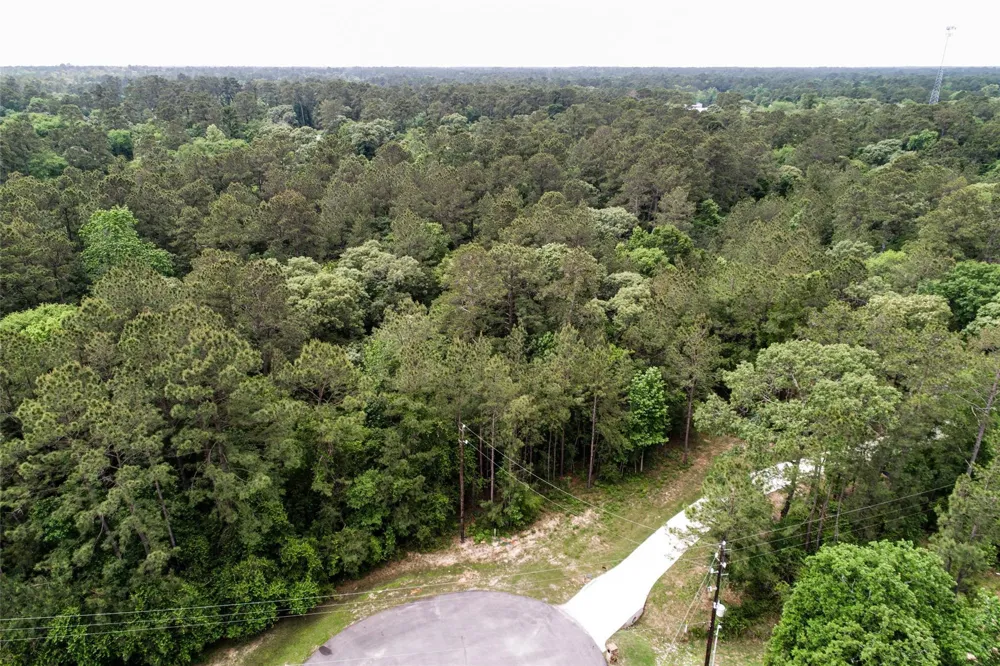 17827 Indigo Hills Drive Magnolia, TX 77355