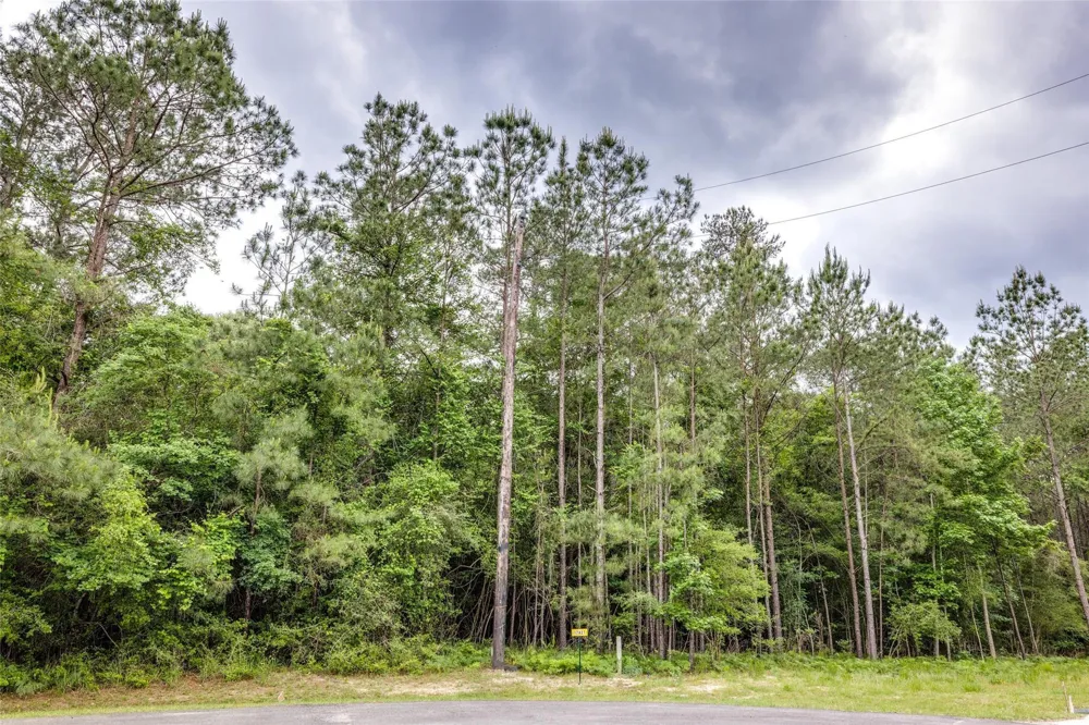 17827 Indigo Hills Drive Magnolia, TX 77355