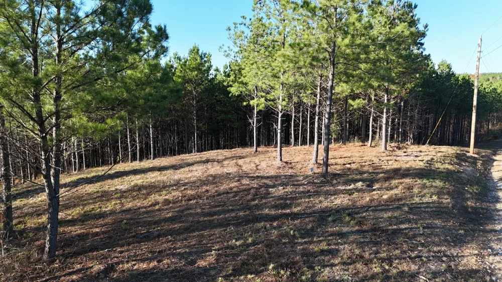252 Streamside Dr Linden, TN 37096