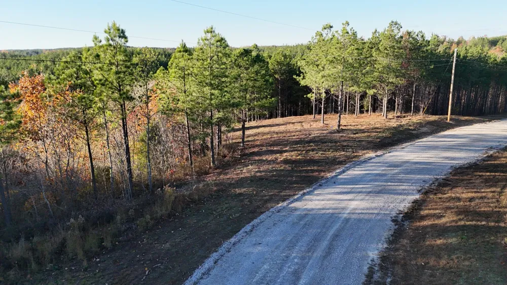 252 Streamside Dr Linden, TN 37096