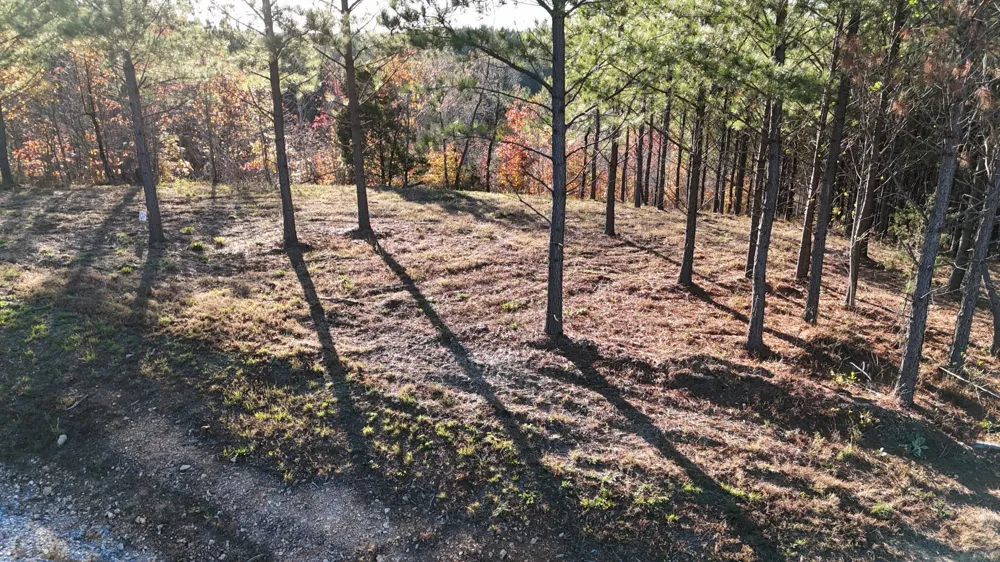 252 Streamside Dr Linden, TN 37096