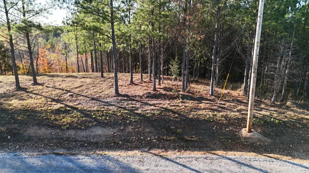 252 Streamside Dr Linden, TN 37096