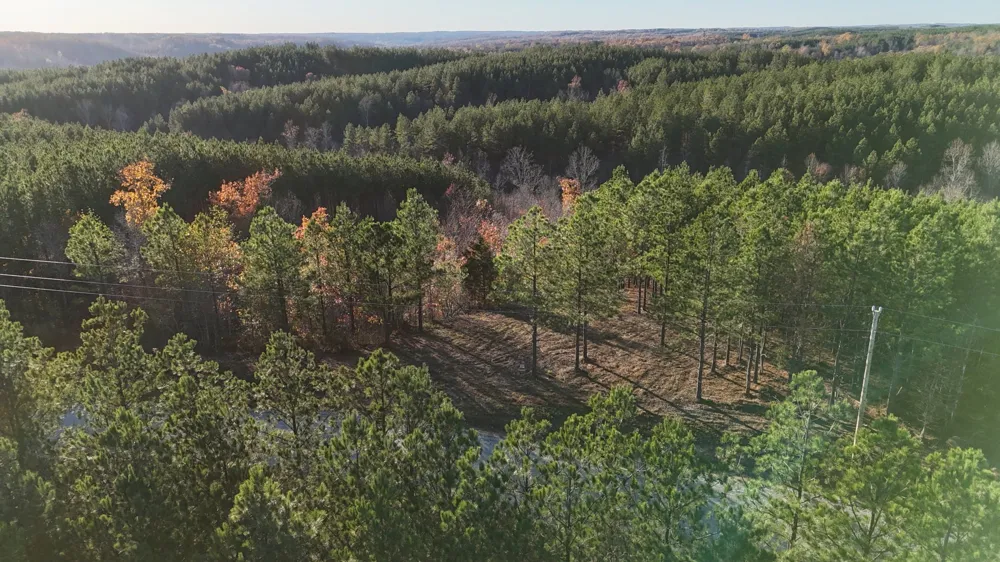 252 Streamside Dr Linden, TN 37096
