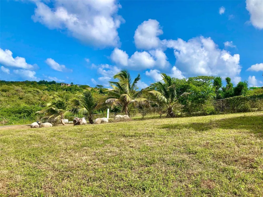 63 ROUTE 201 Vieques, PR 00765