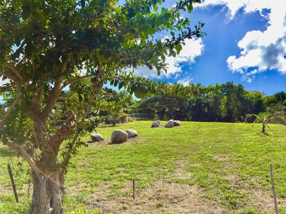 63 ROUTE 201 Vieques, PR 00765