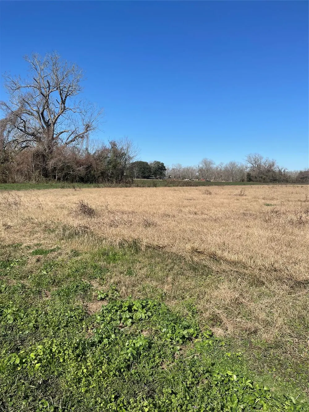 County Road 224 Wharton, TX 77488
