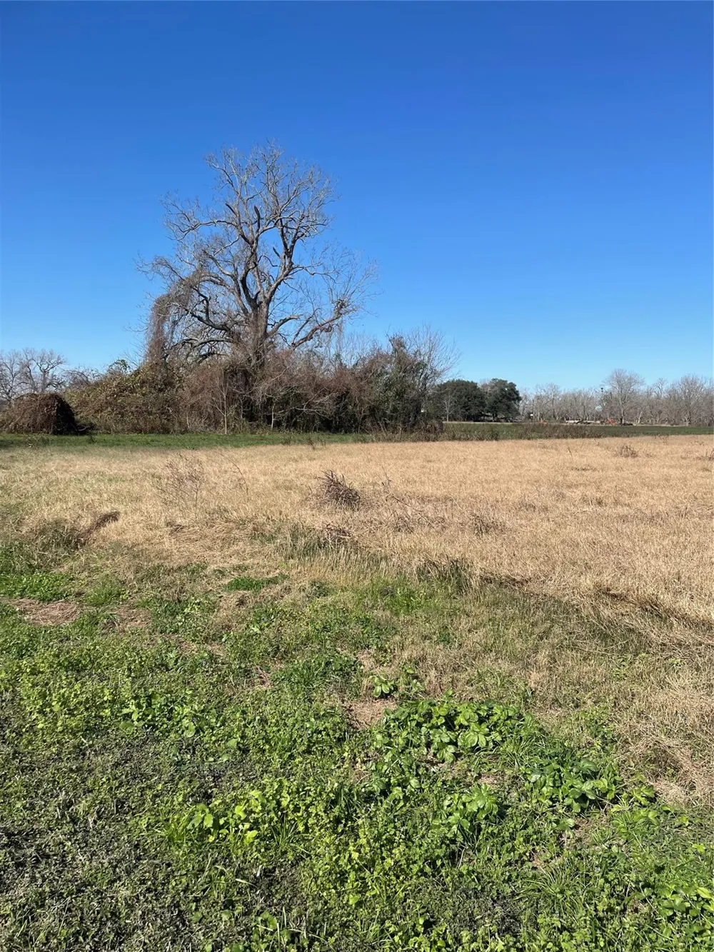County Road 224 Wharton, TX 77488