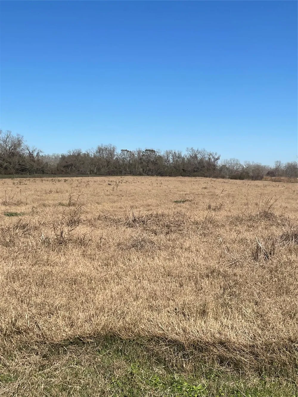 County Road 224 Wharton, TX 77488
