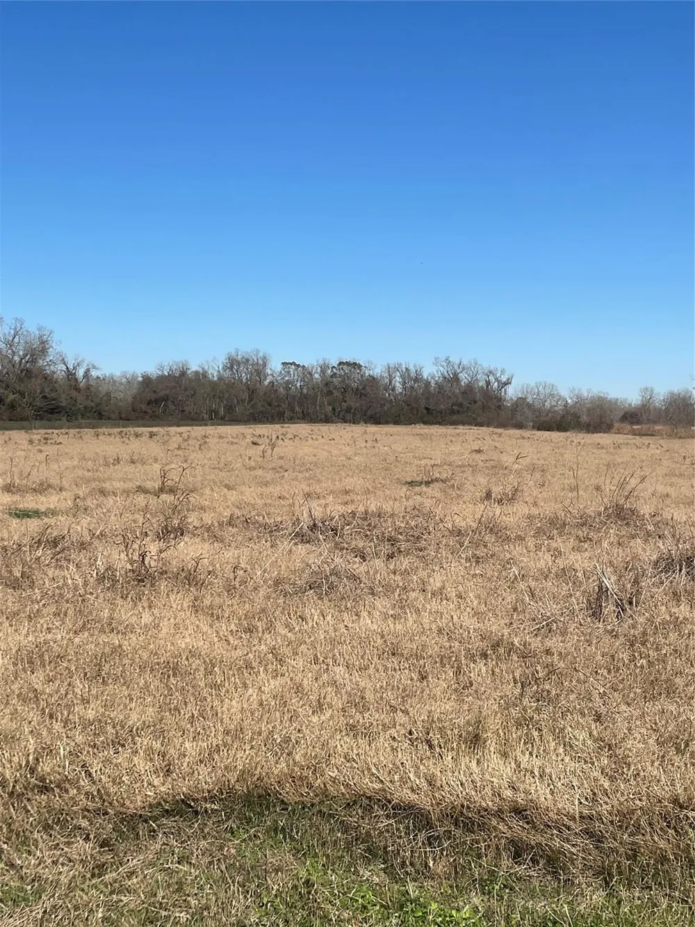 County Road 224 Wharton, TX 77488