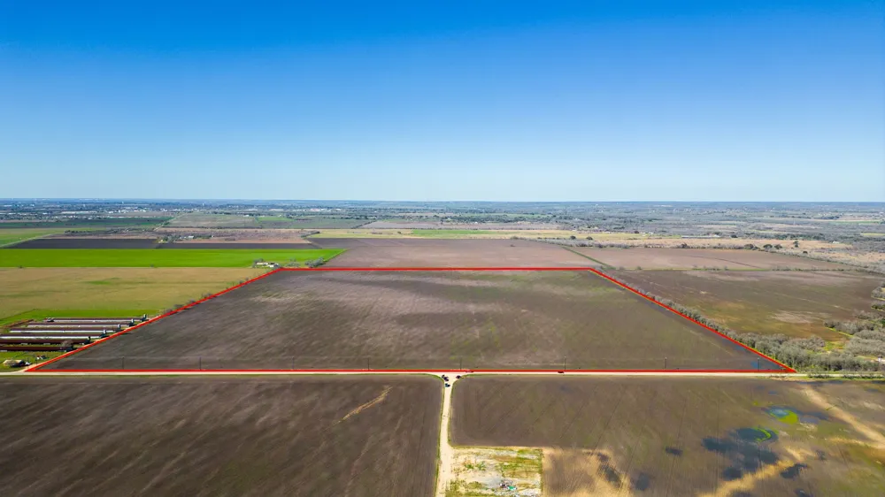 Young Lane Lockhart, TX 78644