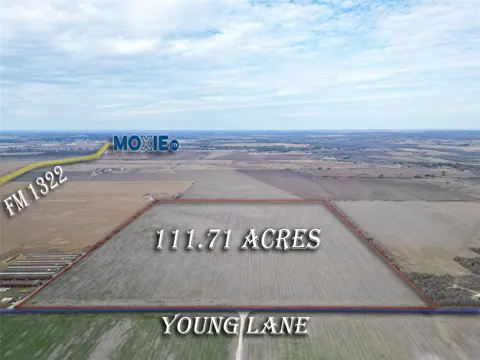 Young Lane