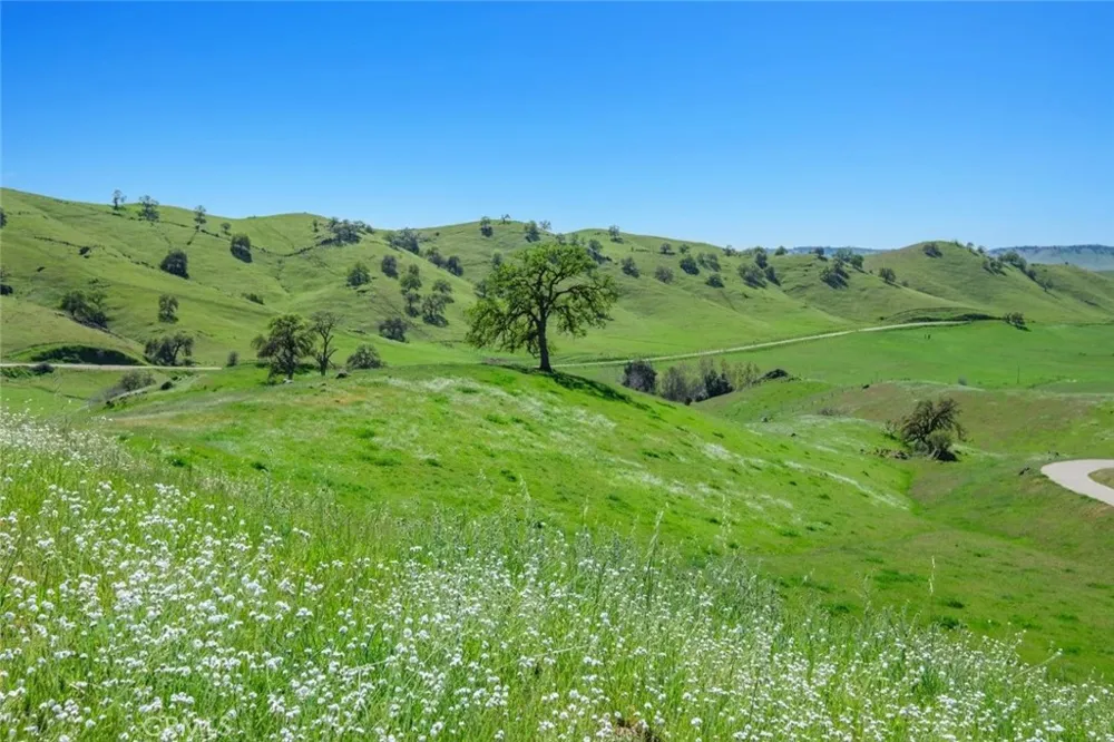 19623 Road 211 Friant, CA 93626
