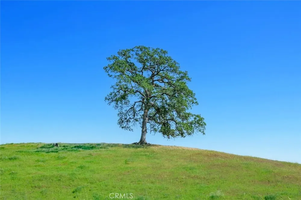 19623 Road 211 Friant, CA 93626