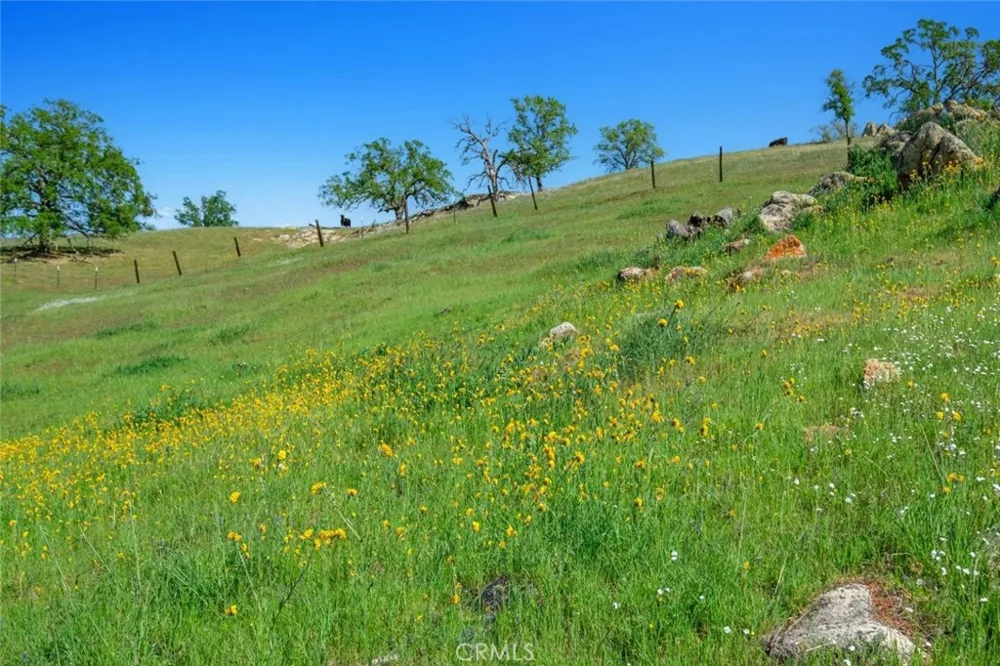19623 Road 211 Friant, CA 93626