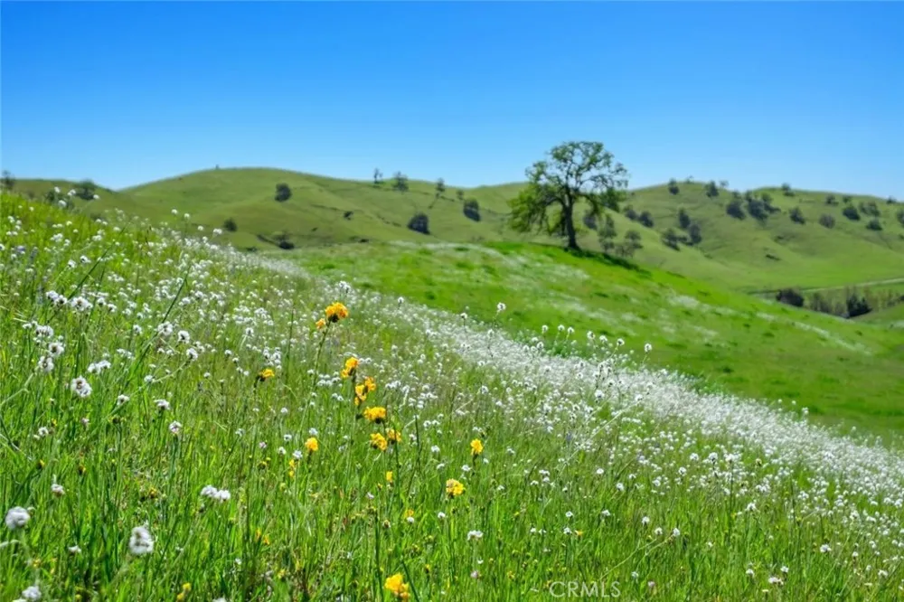 19623 Road 211 Friant, CA 93626