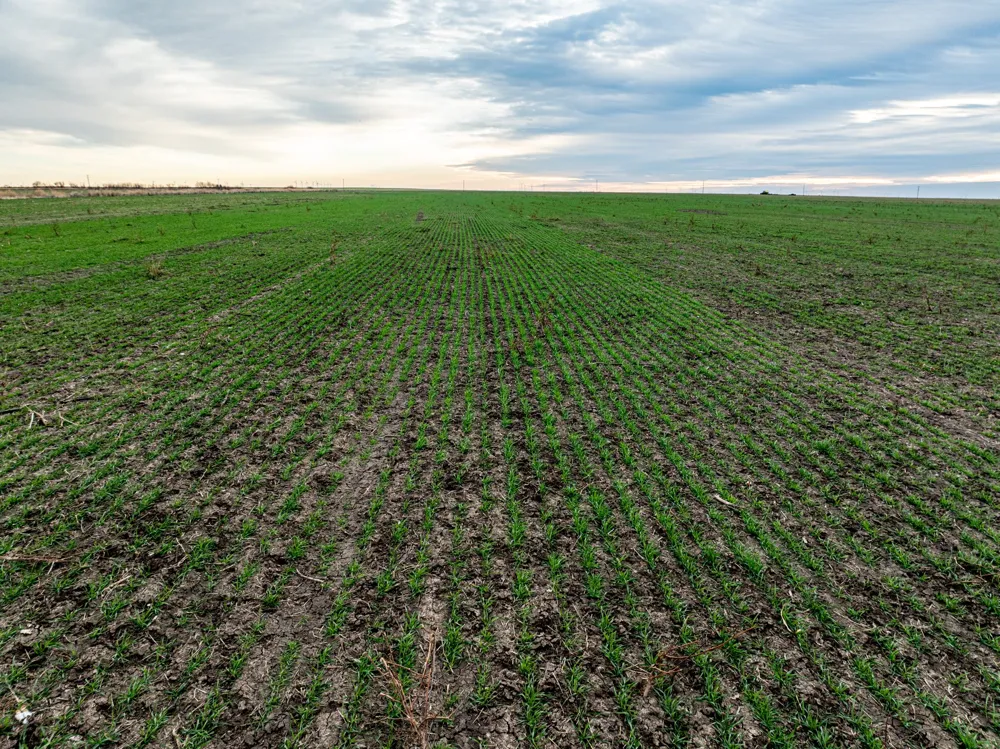 1 County Road 119 Haskell, TX 79521
