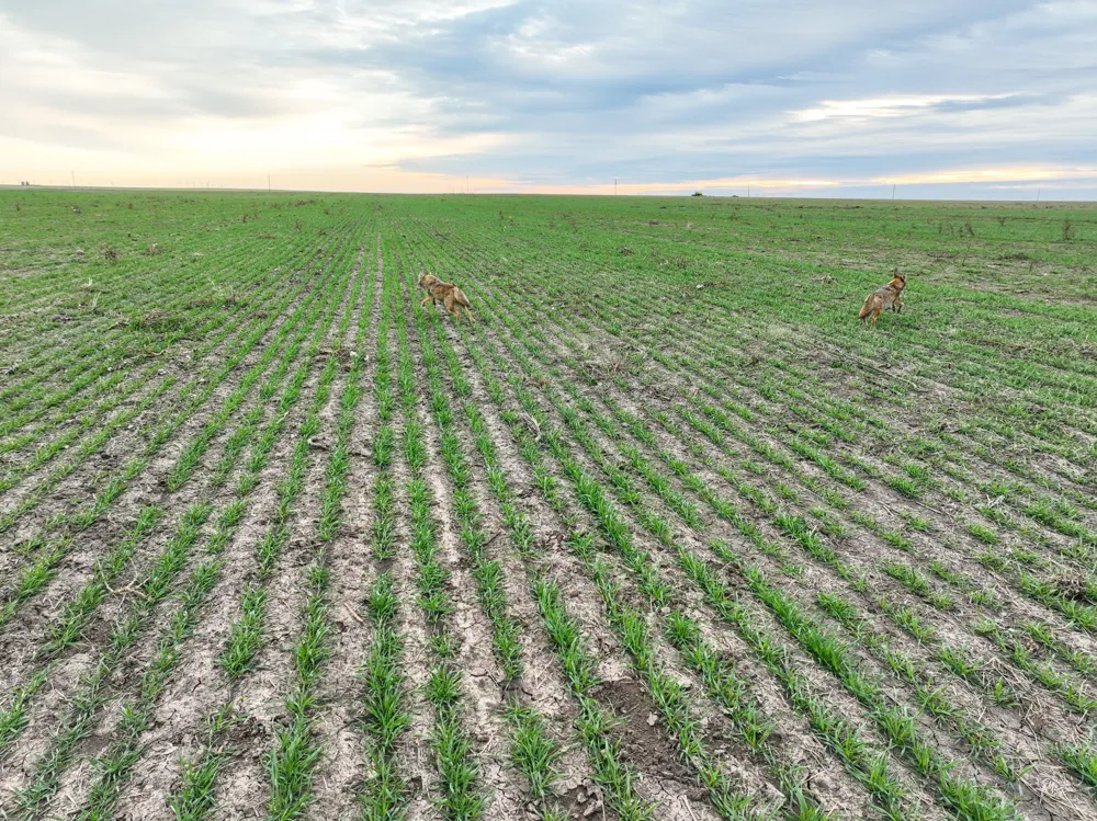 1 County Road 119 Haskell, TX 79521