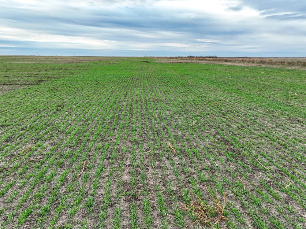 1 County Road 119 Haskell, TX 79521
