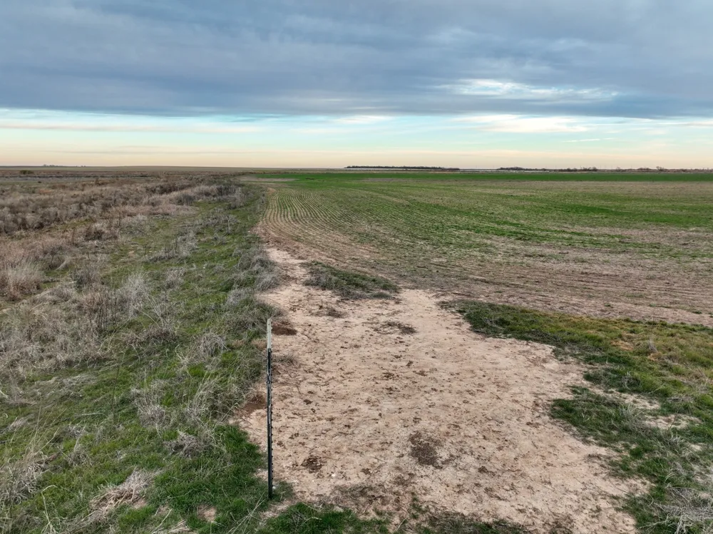 1 County Road 119 Haskell, TX 79521