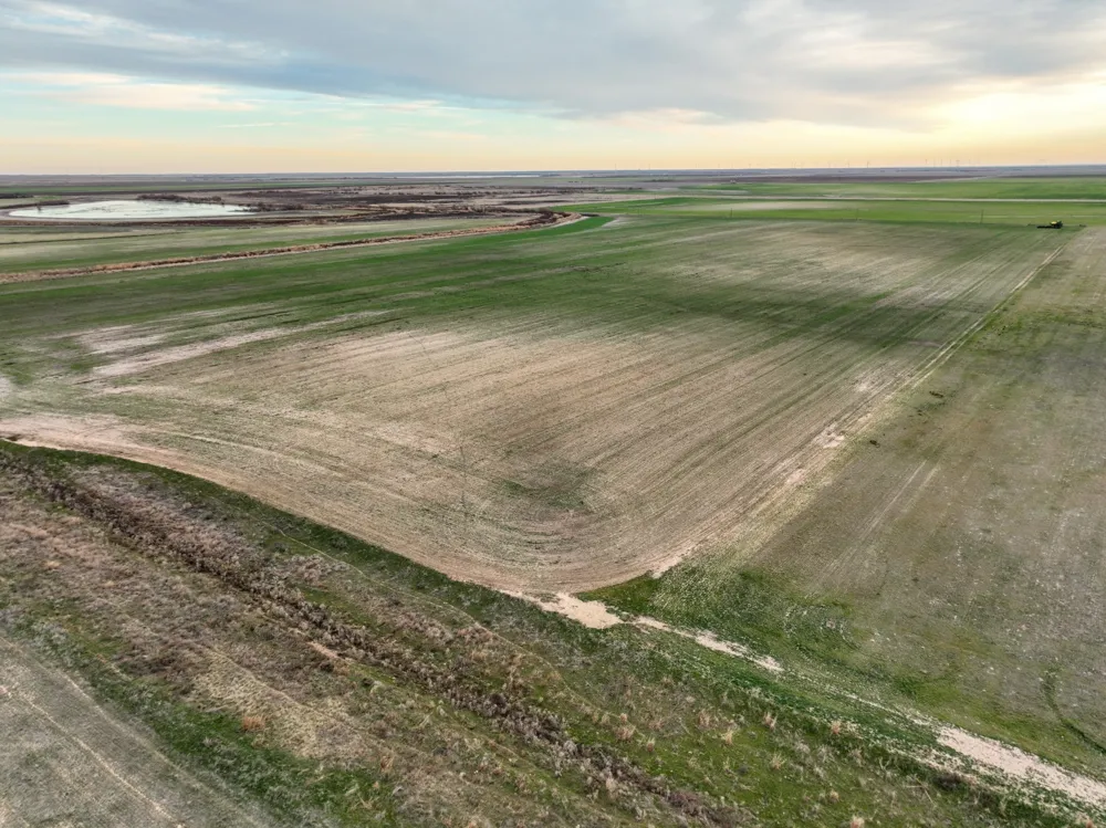 1 County Road 119 Haskell, TX 79521