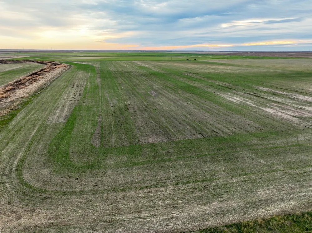 1 County Road 119 Haskell, TX 79521