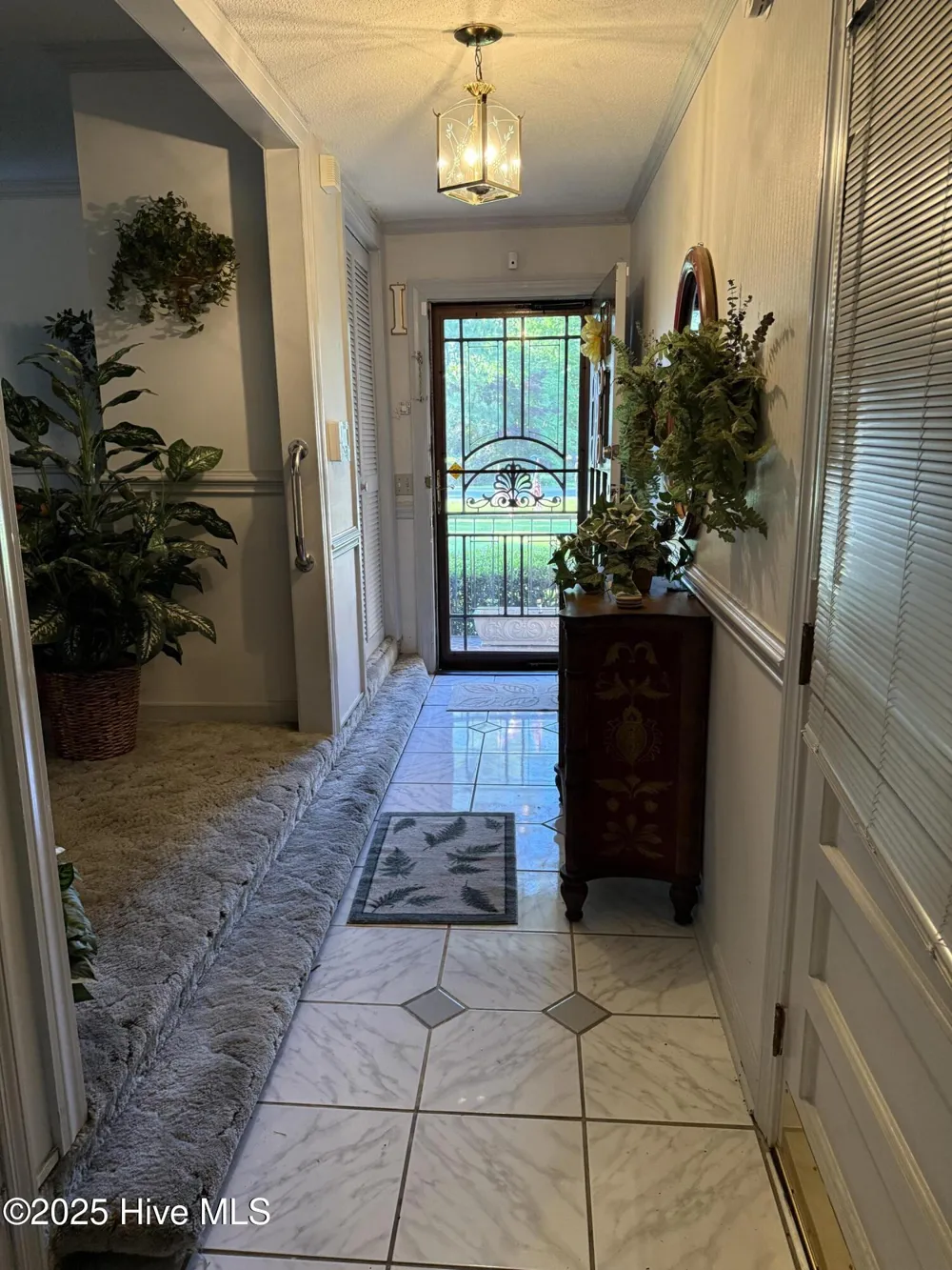 604 Eleanor Street Greenville, NC 27858
