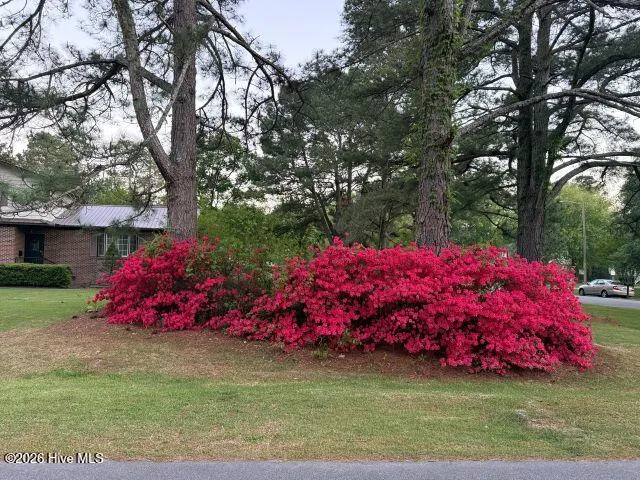 604 Eleanor Street Greenville, NC 27858