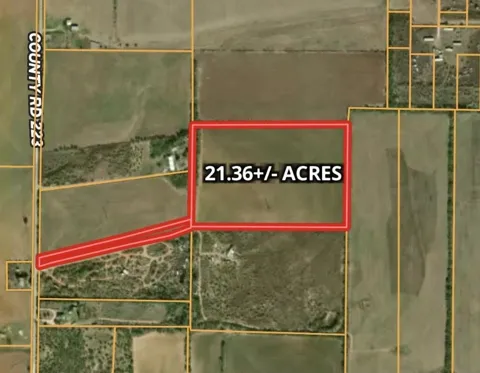 CR 223